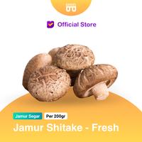 Gambar Jamur Shitake - Bakoel Sayur Online dari Bakoel Sayur Online undefined 1 Tokopedia