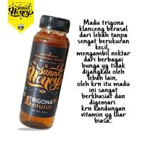 Gambar Madu SANAD HONEY Trigona Kelulut Klanceng Murni Amanah Nektar Alami dari #1 BARDANSHOP GROSIR ^,^ undefined 4 Tokopedia