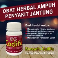 Gambar Obat Jantung - Obat pembengkakan Jantung - Memperbaiki kinerja Jantung dari BIOSYAFA JKT undefined 2 Tokopedia