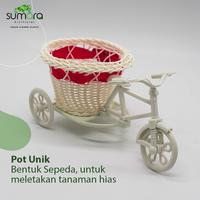 Gambar Pot Unik Bentuk Sepeda dari Plastik Mudah Dibersihkan - Tanaman - Ungu dari Toko Rumput Sumara undefined 1 Tokopedia