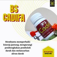 Gambar Obat Jantung - Obat pembengkakan Jantung - Memperbaiki kinerja Jantung dari BIOSYAFA JKT undefined 4 Tokopedia