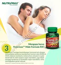 Gambar Nutrimax Male Formula RX Obat Herbal Untuk Kuat Pria/Lelaki Perkasa dari Nutrimax Online undefined 5 Tokopedia