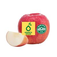 Gambar Apel Fuji Wangshan Segar Fresh Premium Terlaris 1 Kg dari AMANTA SHOP ID undefined 1 Tokopedia