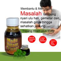 Gambar Madu tripang hitam plus gamat emas obat gula sehatkan ginjal jantung dari Aarunika undefined 1 Tokopedia