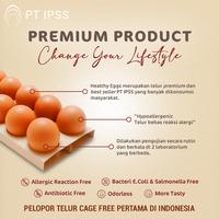 Gambar Healthyeggs 8 Butir (Telur Healthy Eggs Anti Alergi & Organik) dari Healthy Eggs ID undefined 3 Tokopedia