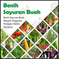 Gambar Benih Sayuran Buah Bibit Tanaman Biji Vegetable Seed Unggul Tumbuh - Kedelai Tumpang dari Atla Agrikultur undefined 1 Tokopedia