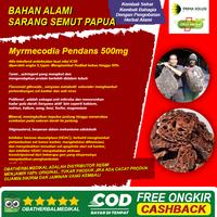 Gambar obat sinusitis alergi debu alergi dingin mimisan dari Obatherbalmedikal undefined 5 Tokopedia