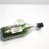 Gambar Anggrek Dendrobium Botolan Isi 45-52 Plant dari OKB orchid undefined 3 Tokopedia