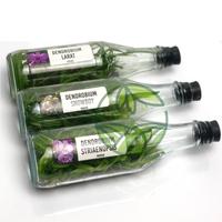 Gambar Anggrek Dendrobium Botolan Isi 45-52 Plant dari OKB orchid undefined 1 Tokopedia