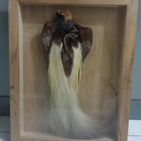 Gambar Hiasan Dinding - Rare Item dari Fa Sekan undefined 1 Tokopedia