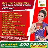 Gambar obat sinusitis alergi debu alergi dingin mimisan dari Obatherbalmedikal undefined 4 Tokopedia