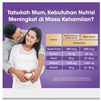 Gambar Anmum Materna Susu Ibu Hamil Vanilla 400 g dari Padas Store undefined 4 Tokopedia