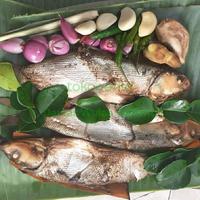 Gambar Ikan Bandeng presto Goreng khas Cirebon,per 1 biji 150 gram - 1 pcs dari Damar Wulan Gebang undefined 2 Tokopedia