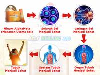 Gambar AlphaMeta (Alpha Meta Kemasan Sachet @ 10 Gram) dari Self Healing 888 undefined 5 Tokopedia