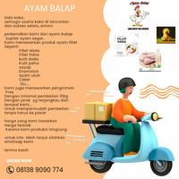Gambar ayam potong uk 1 kg potong 10 dari Ayam balap 25 undefined 3 Tokopedia