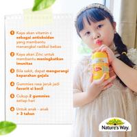 Gambar NATURE'S WAY KIDS SMART VITA GUMMIES C + ZN 60'S - 2PCS dari VitaminDiskon undefined 3 Tokopedia