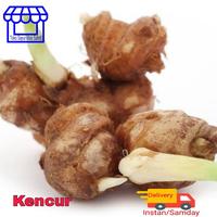 Gambar Kencur 100 gram dari Toko Sayur Mas Sahid undefined 1 Tokopedia