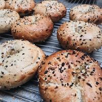 Gambar [bule bread] sourdough bagel - Plain bagel dari Bule Bread Jakarta undefined 2 Tokopedia