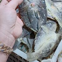 Gambar Ikan Asin Jenis Ketambak 1kg Grade A dari Mustika Djamue undefined 3 Tokopedia
