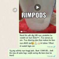 Gambar brine shrimp / pakan ikan / pelet ikan / artemia / pellet oscar albino - beli 5 gratis 2 dari rimpods undefined 5 Tokopedia