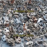 Gambar BATU KARANG GUNUNG KARAKTER BOLONG PER KG dari AndykaStore undefined 1 Tokopedia