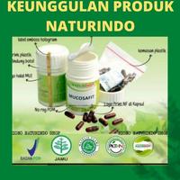 Gambar OBAT SESAK NAFAS OBAT BATUK KERING BERDAHAK BERLENDIR BRON C FIT - BRON C FIT dari Surabaya Naturindo undefined 4 Tokopedia