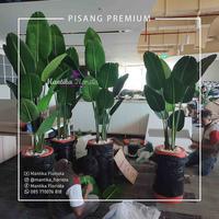 Gambar Pohon Pisang Artificial Plastik Kualitas Premium - 160 cm dari Mantika Florista undefined 5 Tokopedia
