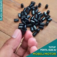 Gambar Gub Tutup Pentil Ban Mobil Motor Type Schrader Valve (Pentil Besar) - Biru, 4 PCS dari Plaza Hardware Bogor undefined 5 Tokopedia