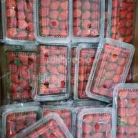 Gambar strawberry - 12 Pak dari Mitra sayur surabaya undefined 2 Tokopedia