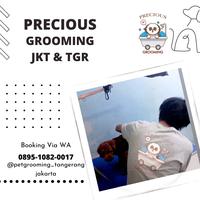 Gambar Pet salon grooming anjing kucing panggilan kerumah tangerang jakarta dari Precious Pet Store undefined 1 Tokopedia