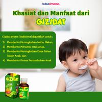 Gambar GIZIDAT Madu Ikan Zidat - Penambah Nafsu Makan Anak dari Etawanew - store undefined 2 Tokopedia
