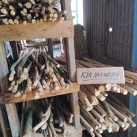Gambar Tangkringan burung kayu kopi dari Ria Anugrah01 undefined 2 Tokopedia