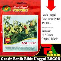 Gambar cabe rawit super ASLI 007 - benih bibit cabe rawit putih super 5gram dari Palapa Agro Bogor undefined 3 Tokopedia
