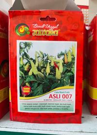 Gambar cabe rawit super ASLI 007 - benih bibit cabe rawit putih super 5gram dari Palapa Agro Bogor undefined 4 Tokopedia