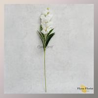 Gambar Bunga Sedap Malam Premium X1 (Satuan) Bunga Plastik Dekorasi Hias - Putih dari flynnflorist undefined 4 Tokopedia