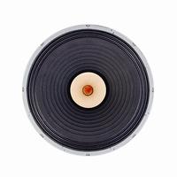 Gambar Lii Audio F-18 18inch Fullrange Speakers ( PAIR ) dari Glodok Mart99 undefined 1 Tokopedia