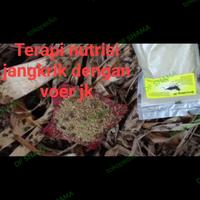 Gambar JANGKRIK VIT BREEDING JK PAKAN KHUSUS JANGKRIK BREEDING HARIAN LOMBA dari DF Shama undefined 2 Tokopedia