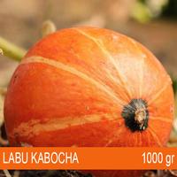 Gambar Labu Kabocha Jepang 1 Kg - Sayur Lokal dari KBZR BGR undefined 2 Tokopedia