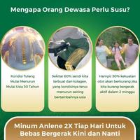 Gambar sale Anlene Gold 5X Susu Bubuk Vanila 2 x 640g-Tulang, Sendi & Otot dari BillyJohn undefined 2 Tokopedia