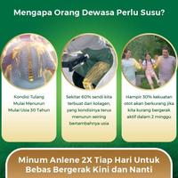Gambar sale Anlene Gold 5X Susu Bubuk Original 5 x 885g-Tulang, Sendi & Otot dari BillyJohn undefined 2 Tokopedia