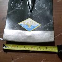 Gambar KEPALA PACUL CANGKUL BESI HITAM 7" INCH TANPA GAGANG dari TB Bintang-Terang undefined 3 Tokopedia