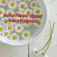 Gambar Daisy Flower Water 30ml/Daisy Hydrosol 30ml/Cosmetic Grade dari Syah-House undefined 1 Tokopedia