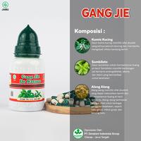 Gambar Obat Luruh Batu Ginjal / Kencing Batu Herbal Gangjie Galgin De Nature dari kia azahra oficial undefined 5 Tokopedia