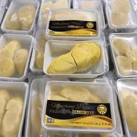 Gambar Durian Monthong Palu Premium / Montong Palu 500gr / Durian Palu Parigi dari NOJ Durian undefined 5 Tokopedia