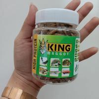 Gambar MAGGOT BSF super maggot kering pakan tinggi protein untuk burung murai dari Harman Taslim undefined 2 Tokopedia