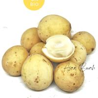 Gambar DUKU PONTIANAK PALEMBANG LANGSAT MANIS KOKOSAN dari Asan Buah Segar undefined 2 Tokopedia
