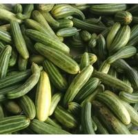 Gambar Krai Buah Kray Pare Belut - 250gr dari Pasar Sayur Sanjaya 2 undefined 2 Tokopedia