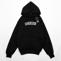 Gambar SWEATER HOODIE DICKIES BORDIR AUTHENTIC PREMIUM FULL TAG & LABEL HITAM - Hitam, M dari ROUTE88stor undefined 1 Tokopedia