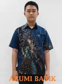 Gambar Kemeja Anak Laki Laki Perempuan Batik Seragam Sekolah TK SD 3080 Biru - no.2 dari Arumi Batik undefined 1 Tokopedia