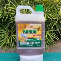 Gambar Madu Randu Asli 2.5kg tdk Mengkristal di kulkas dari Madu ASOHA_NEW undefined 2 Tokopedia